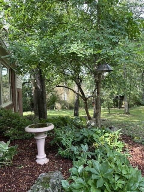 Elegance Enjoy Southern Comfort In Style Nashville